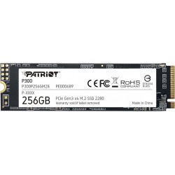 SSD P300 256GB M.2 PCIe Gen3x4
