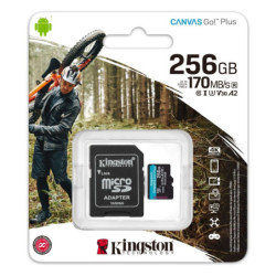 Kingston GO! Pro Micro SD...