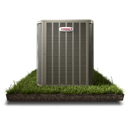 ASUS Premium Care -...