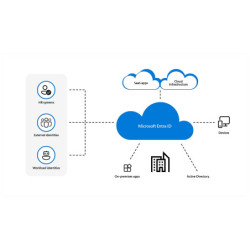 Microsoft Entra ID P2 -...