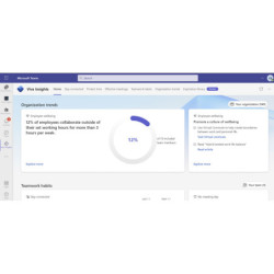 Microsoft Viva Insights