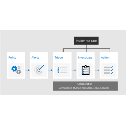 Gestión de riesgos internos...