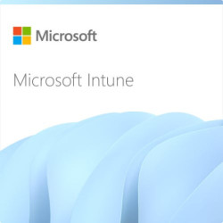 Plan de Microsoft Intune 2