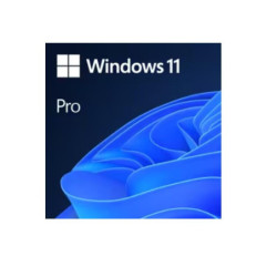 Actualización a Windows 11...