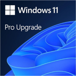 Actualización a Windows 11...