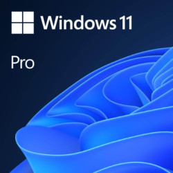 Licencia Windows 11 Pro -...