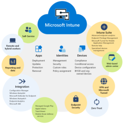 Microsoft Intune Gestión de...