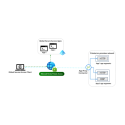 Microsoft Entra Private Access
