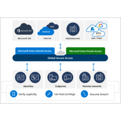 Microsoft Entra Acceso a...