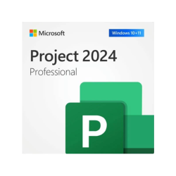 Project Professional 2024:...