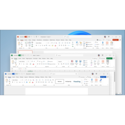 Office LTSC Standard para...