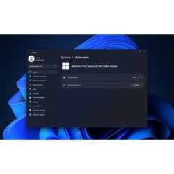 Windows 11 Enterprise N...