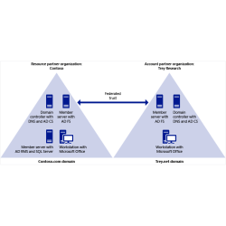 RMS 2025 EDU: Servicios de...
