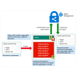 Rights Management Services...