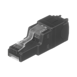 Plug RJ45 UTP Recto,...