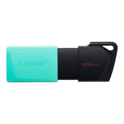 Kingston DataTraveler...