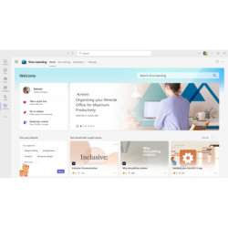 Microsoft Viva: Solución...