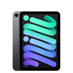 iPad Mini Wi-Fi 256GB -...