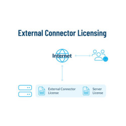 Conector Externo de Gestión...