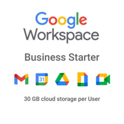 Google Workspace Business...