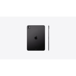 iPad Pro 11\" WiFi 256GB...