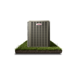 Extensión de Garantía ASUS...