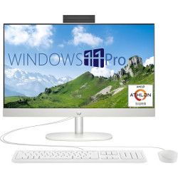 HP All-in-One 24-cr0234la...