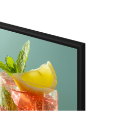 Monitor Business TV 55"...