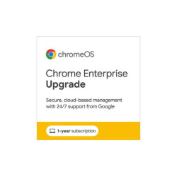 Chrome Enterprise Upgrade...