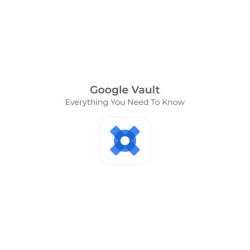 Google Vault Flexible