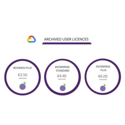 Google Workspace Enterprise...