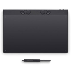 Wacom Intuos Pro Large Inalmbrico y almbrico 5080 lpi 349 x 195 mm USB Bluetooth Pluma 60