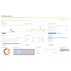 Microsoft Defender Vulnerability Management