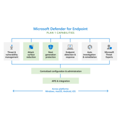 Microsoft Defender for Endpoint Server