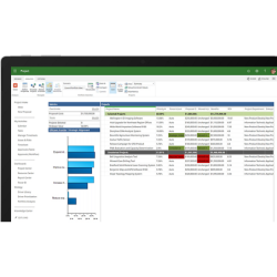 Project Server 2019 offers a robust end-to-end project and portfolio management solution with strong collaboration capabilities