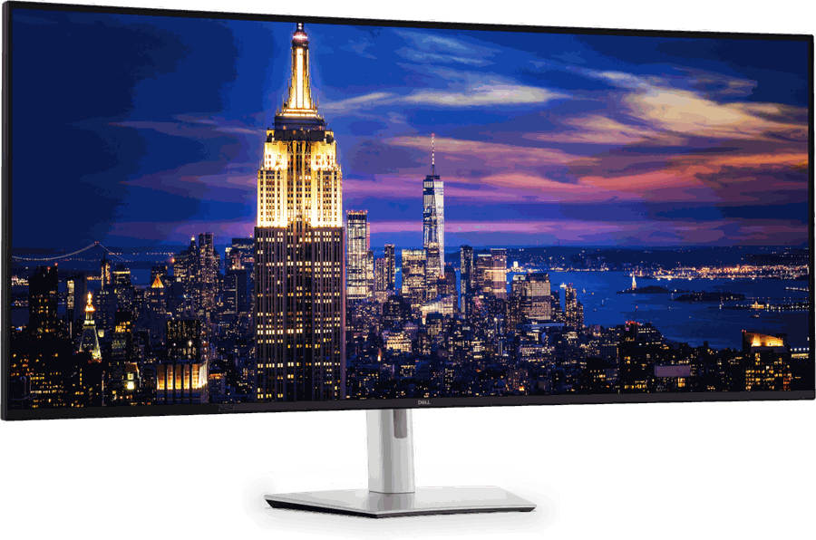 Monitor Dell